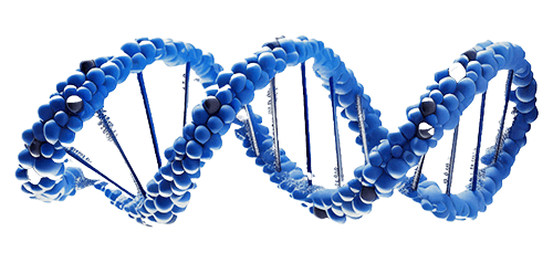 DNA Graphic